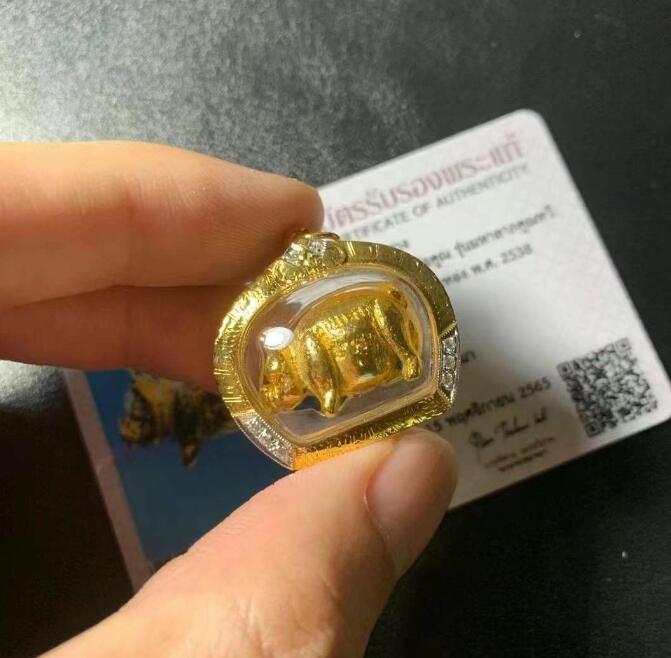 龙婆坤2538年好命招财猪
